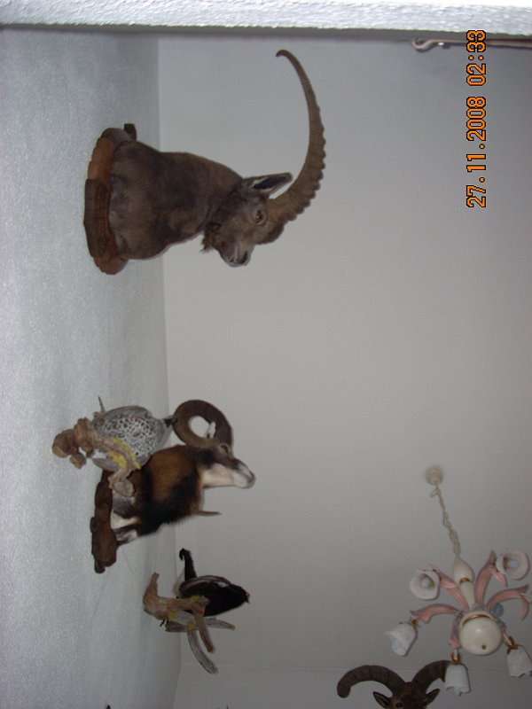 SOLDEN 2008 PROSINEC 092.jpg